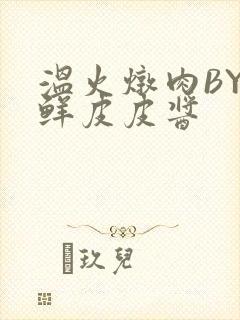 温火炖肉BY海鲜皮皮酱