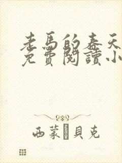 老马的春天全文免费阅读小说