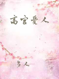 高官爱人