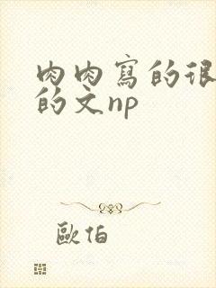 肉肉写的很细致的文np