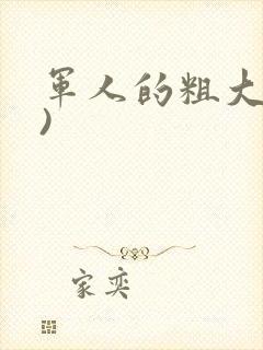 军人的粗大(h)