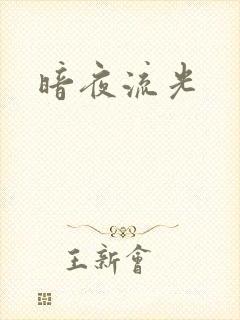 暗夜流光