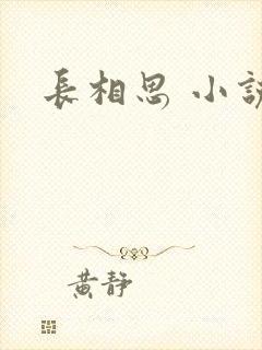 长相思 小说