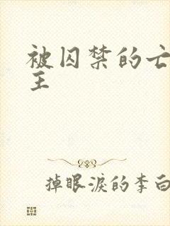 被囚禁的亡国公主