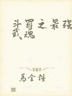 斗罗之最强治疗武魂