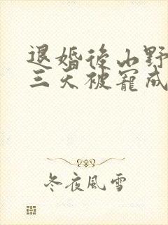 退婚后山野糙汉三天被宠成宝小说