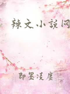 辣文小说网