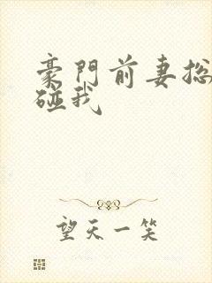 豪门前妻总裁别碰我