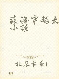 苏洛穿越太监的小说