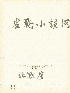 卢飞小说网