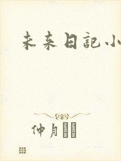 未来日记小说