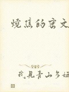 烧焦的密文