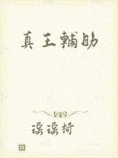 真王辅助