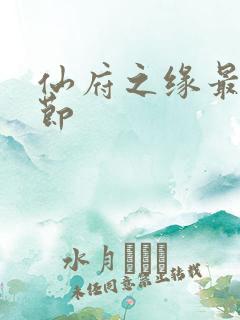 仙府之缘最新章节