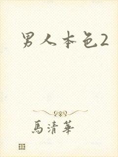 男人本色2