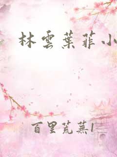 林云叶菲小说