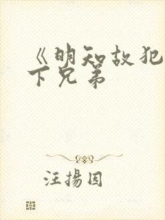 《明知故犯》年下兄弟