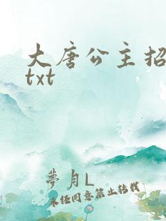 大唐公主招亲记txt