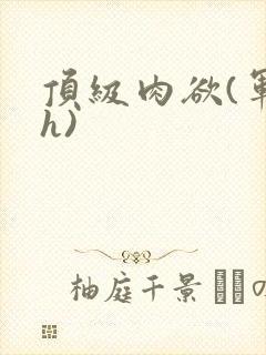 顶级肉欲(军高h)