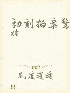 初刻拍案惊奇txt