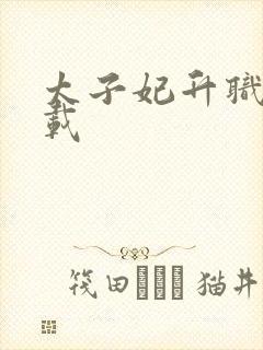 太子妃升职记下载