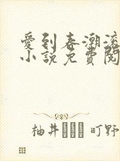 爱到春潮滚滚来小说免费阅读