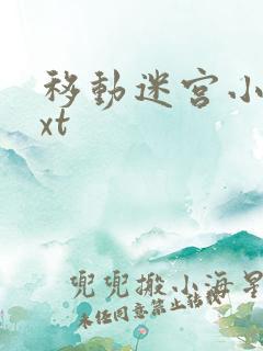 移动迷宫小说txt