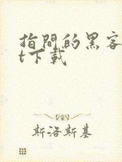 指间的黑客txt下载