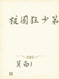 校园狂少第二部