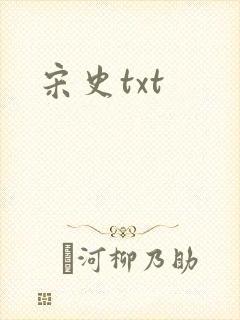 宋史txt