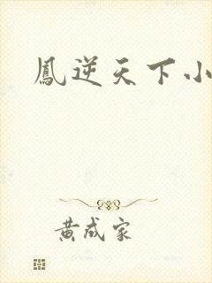 凤逆天下小说