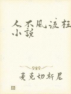 人不风流枉少年小说