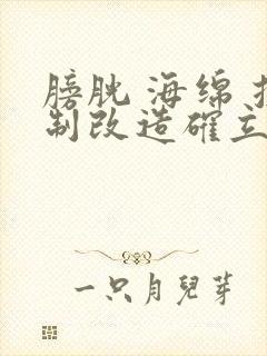 膀胱 海绵 控制改造确立m