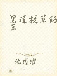 黑道校草的冷公主