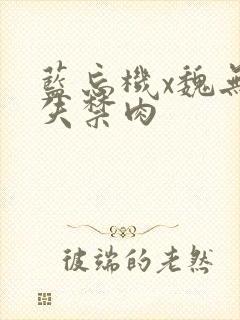 蓝忘机x魏无羡失禁肉