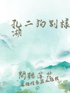 孔二狗别样的江湖