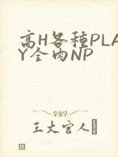 高H各种PLAY全肉NP