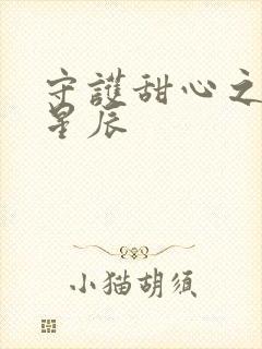 守护甜心之暗夜星辰