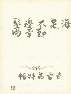 鬓边不是海棠红肉章节