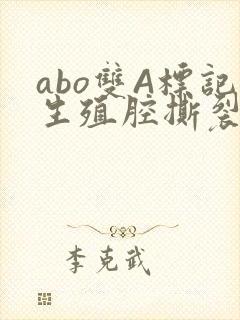 abo双A标记生殖腔撕裂