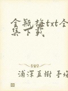 金瓶梅txt全集下载