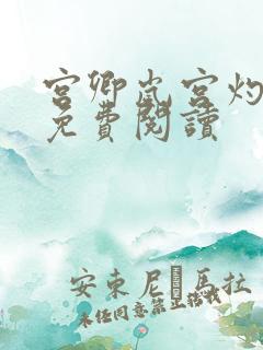 宫卿岚宫灼小说免费阅读