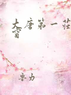 大唐第一庄无弹窗