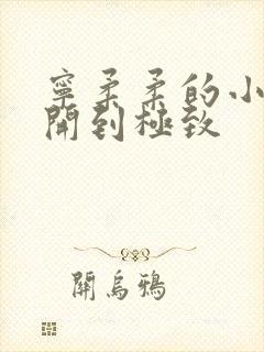 宁柔柔的小泬撑开到极致