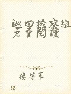 巡回检察组小说免费阅读