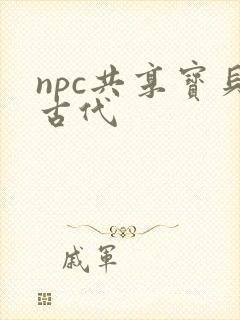 npc共享宝贝古代