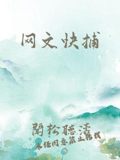 网文快捕