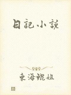 日记小说