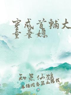 穿成首辅大人的童养媳