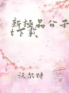 新极品公子txt下载